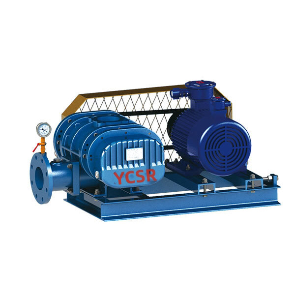 Ultimate Guide to Roots Vacuum Pump: Technology, Applications & Selection