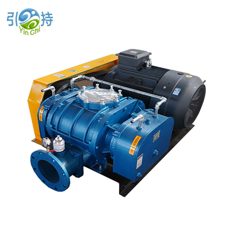Kodi Negative Pressure Roots Vacuum Pump Blower Imakulitsa Bwanji Mayendedwe Opaka Pakudya Kwanthawi Zonse?