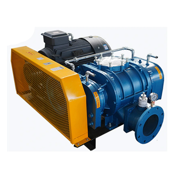 China Roots Type Blower Air Blower