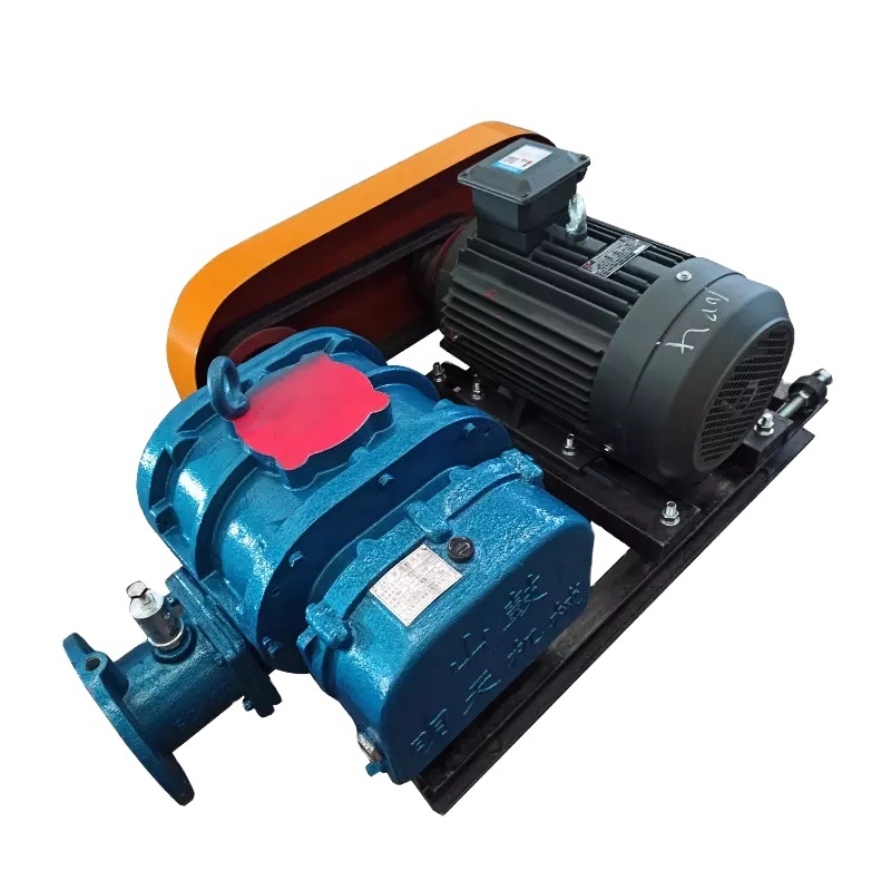 Phokoso Lotsika Losakhazikika Liwiro Latatu Lobe Rotor Mizu Vacuum Pump