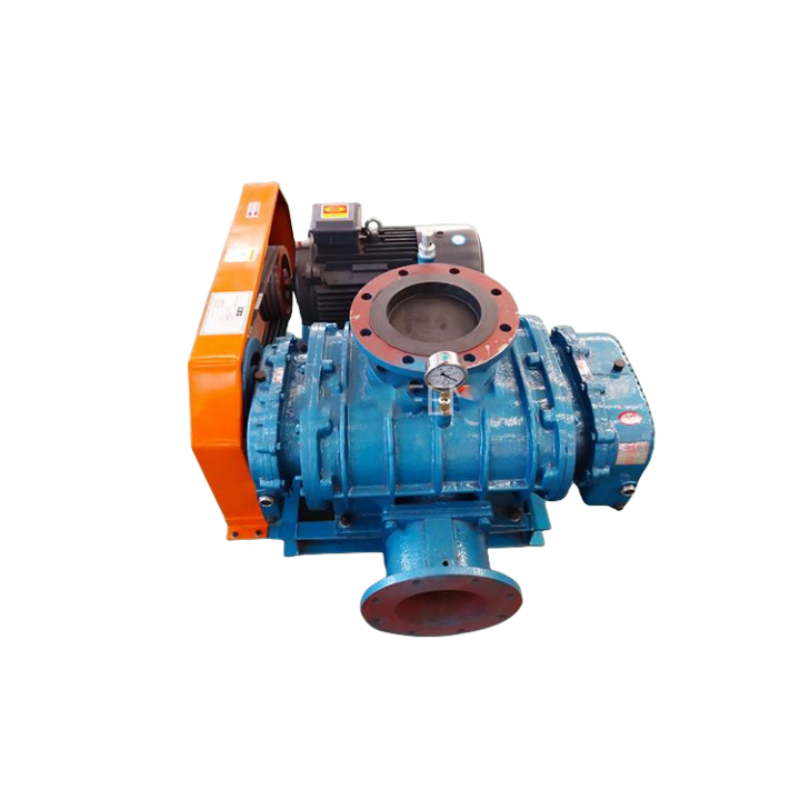 Kulongedza Chakudya Mizu Vacuum Pump